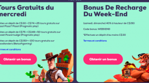 wild fortune bonus